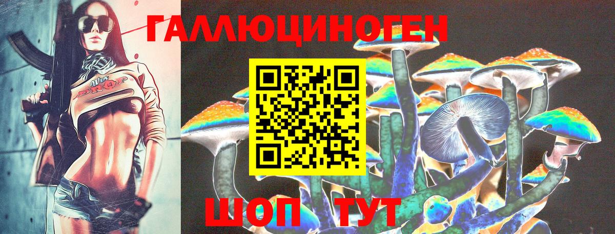Шебекино  Псилоцибиновые грибы прущие грибы  Вход с VPN 