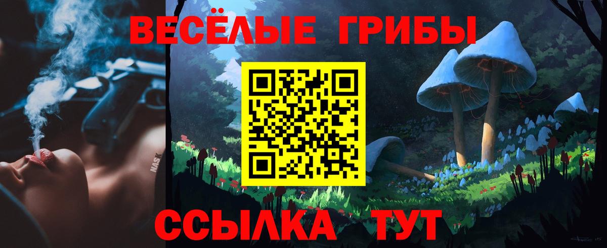 Псилоцибиновые грибы Psilocybe Шебекино